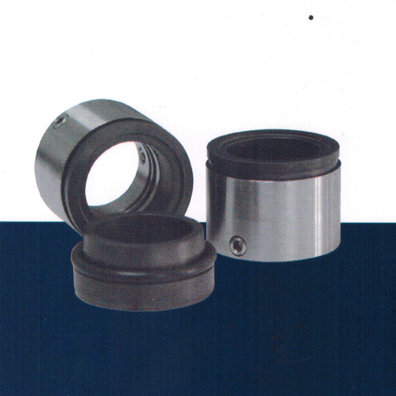 C86 - Spring Externally Mounted Slurry Mechanical Seal
